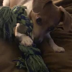 Meet your Posher, Melanie